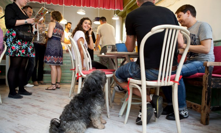 Halkakas halbisztró