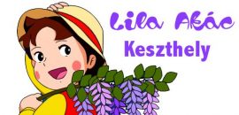 Hely képe