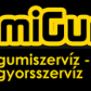 Tétel bélyegkép