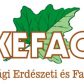 Tétel bélyegkép