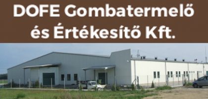 Tétel bélyegkép